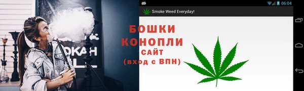 прущие грибы Богданович