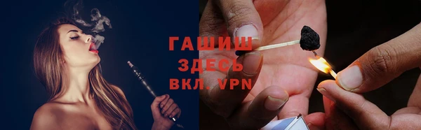 прущие грибы Богданович