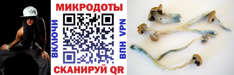 Галлюциногенные грибы MAGIC MUSHROOMS  Тулун 